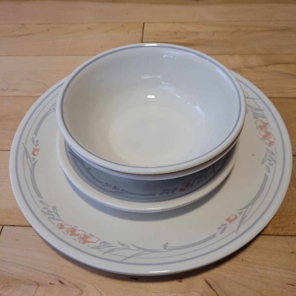Corelle Rose dishes, 2 of each: dinner plates, small plates, and cereal bowls